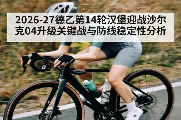 2026-27德乙第14轮汉堡迎战沙尔克04升级关键战与防线稳定性分析