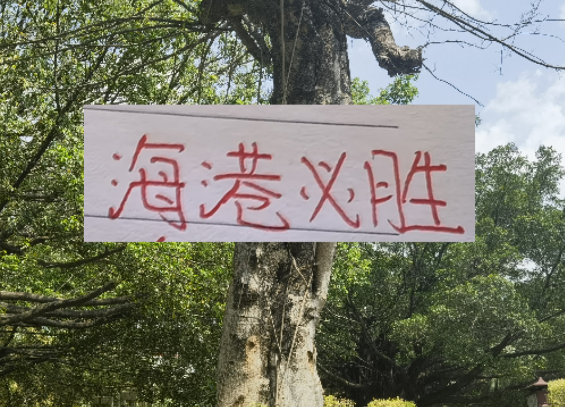 欧冠官方正版下载-前有奇塔 现有奥斯卡 海港旧将也喜欢度假途径母队